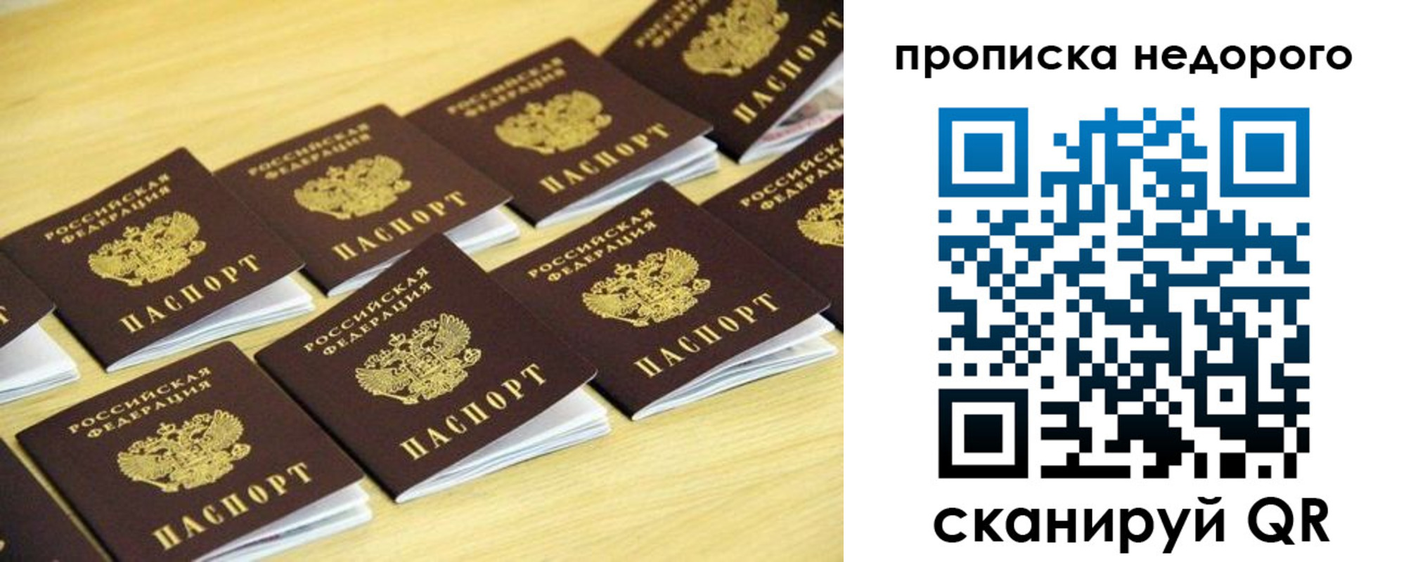 прописка для работы в Долгопрудном